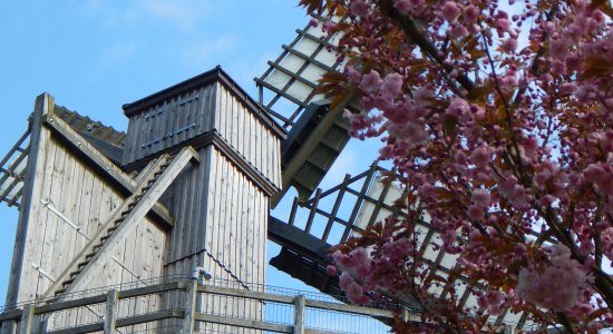 Windkunst Gradierwerk Bad Rothenfelde, © Hans-Peter Fröbel