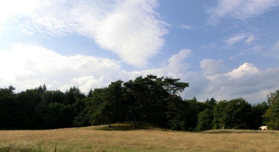 Blick auf den Grabhügel Kuhbachtal, © TouROW