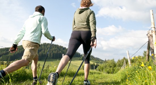 Nordic Walking, © Fotolia / ARochau