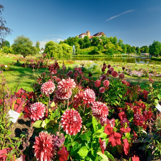 Bad Iburg Landesgartenschau, © Francesco Carovillano