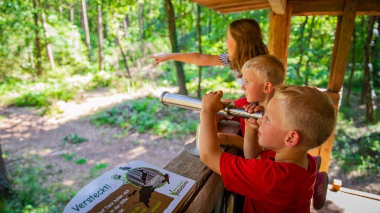 Kinder auf dem Hochsitz, © Samtgemeinde Freren/ MedienAtelier Emsland