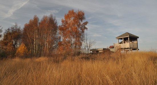 Vogelbeobachtungsstand im Oppenweher Moor, © DümmerWeserLand Touristik / Oliver Lange