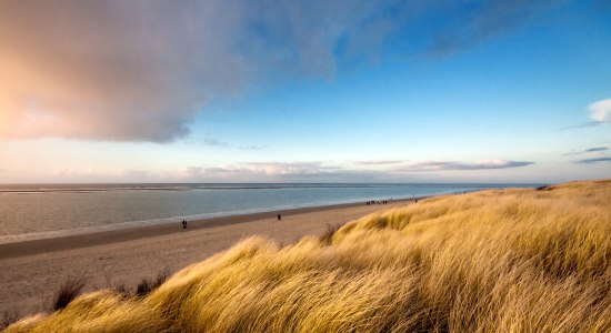 Der Strand von Langeoog., © Tourismus-Service Langeoog / Martin Foddanu