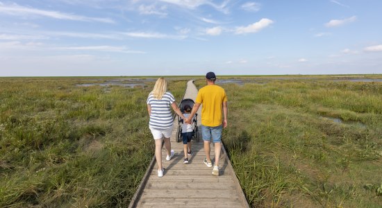 Familie auf einem Spaziergang ans Meer, © TMN/ Christian Bierwagen