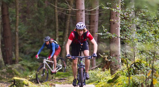 Mountainbiker auf einem Single Trail, © Maruba b.V. Sports Publishers