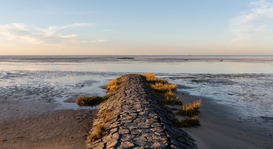 Nordsee, © Alexander Kassner