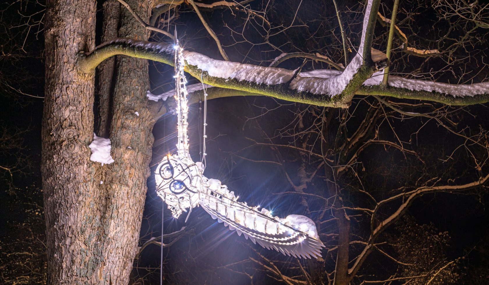 Öffentliche Lichterzauberführung, © Hann. Münden Marketing GmbH, Eson Krusha