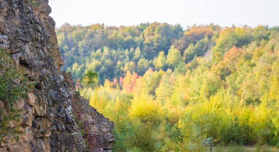 Blick auf die TERRA.vita Region