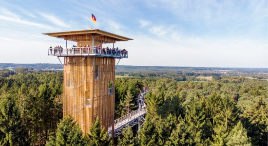 Aussichtsturm des Baumwipfelpfades, © Weitblick Tietz GmbH & Co. KG / Adrian Föhl