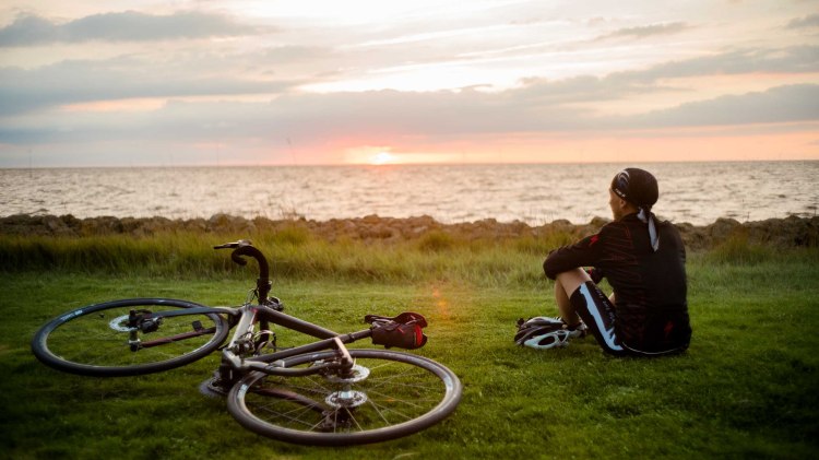 Radfahrer an der Wurster Nordseeküste, © Cuxland-Tourismus / Nele Martensen