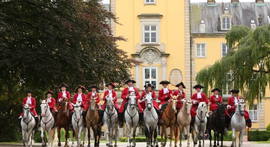 Hofreitschule, © Fürstliche Hofreitschule