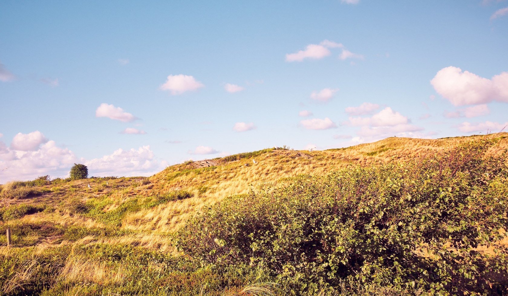 Umgebung, © Die JugendHerbergen gGmbH / Björn Reschabeck