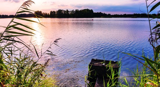 meissendorfer-teiche_mt_17_cmyk, © Lüneburger Heide GmbH