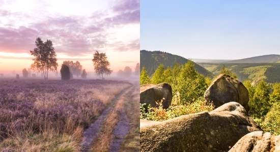 Mystische Heidelandschaft – verzaubernde Berge im Harz, © Lüneburger Heide GmbH/ Markus Tiemann | Stadtmarketing Bad Harzburg