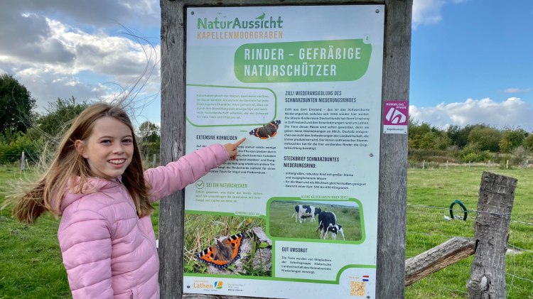 Entdeckung der Infotafel, © Naturpark Hümmling