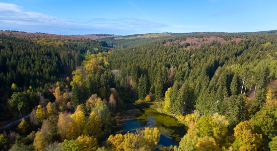 Solling Vogler im Herbst, © Alexander Kassner