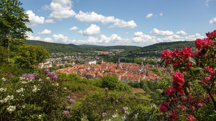 blick-auf-die-altstadt-hann-mnden-c-erlebnisregion-hann-mnden_klein