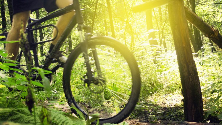 Vorderrad eines Mountainbikes im Gegenlicht, © Fotolia / lassedesignen