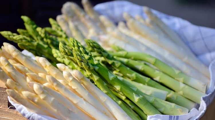 Der Nienburger Spargel hat einen leicht nussigen Geschmack., © TMN/Francesco Carovillano