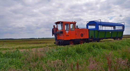 Ludger Thedering mit Lok und Lore im Seelter Foonkieker, © Wolfgang Stelljes