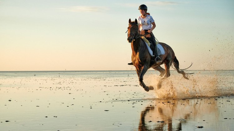 Reiten in Sahlenburg in der Nähe von Cuxhaven, © Florian Trykowski