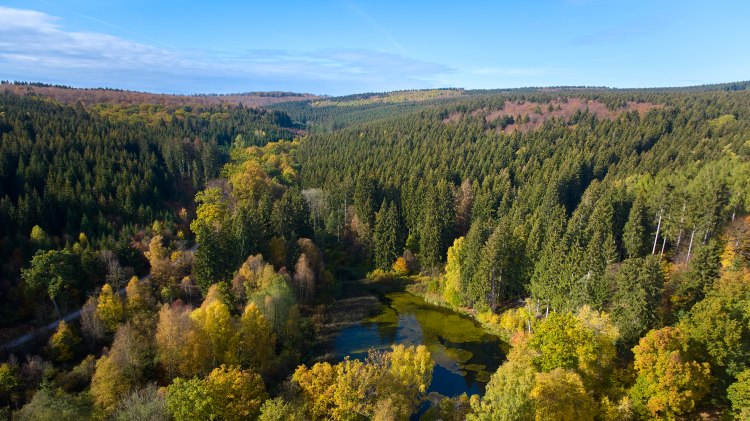 Solling Vogler im Herbst, © Alexander Kassner