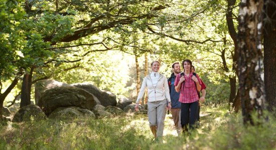 Wandern am Großsteingrab im Naturpark Moor-Veenland, Wandern auf Rezept, © Naturpark Moor-Veenland