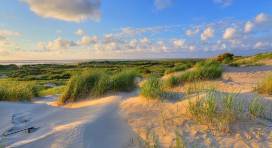 Blick auf leicht bewachsene und sonnenbeschienene Dünen am Ortsrand auf der Insel Borkum, © Bildagentur Huber/Gräfenhain