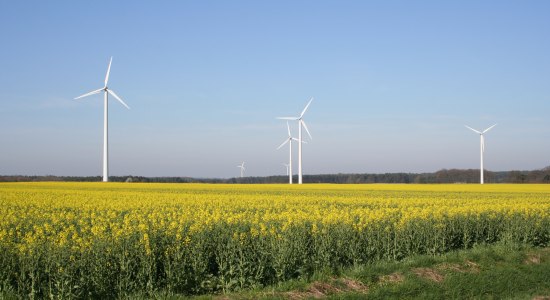 Windpark, © Mittelweser-Touristik GmbH