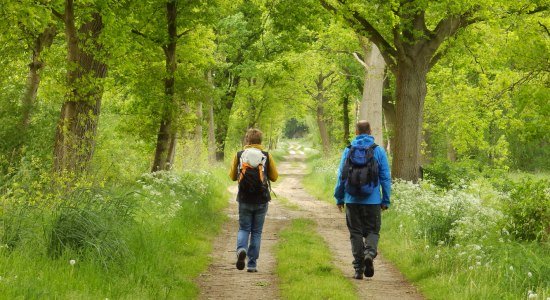 zwei Wanderer auf dem Nordpfad Hinterholz und Hohenmoor, © Touristikverband Landkreis Rotenburg (Wümme) e.V.