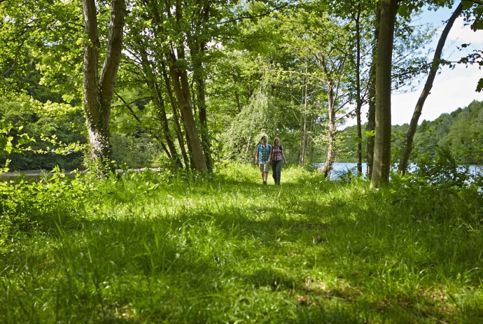 Im Grünen unterwegs, © Grafschaft Bentheim Tourismus / Rudi Schubert