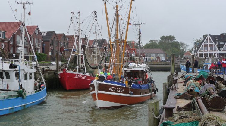 Kutter an der Nordsee, © Landesverband Motorbootsport Niedersachsen e.V.