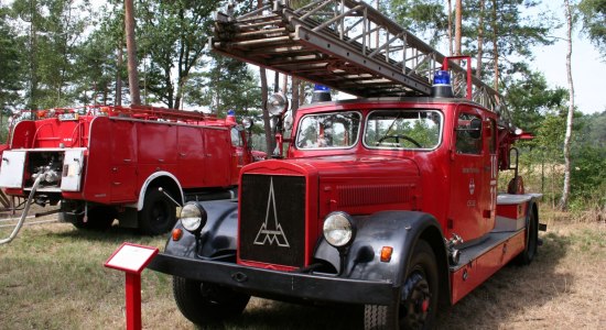 Feuerwehr-Oldtimer im historischen Feuerwehrmuseum Neu-Tramm, © Jenny Raeder