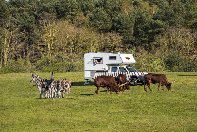 Übernachten inmitten wilder Tiere in einer Ranger-Lodge im Serengeti-Park, © Serengeti-Park Hodenhagen GmbH