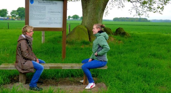 Großsteingrab in Nartum, © Touristikverband Landkreis Rotenburg (Wümme)  e.V. / Udo Fischer