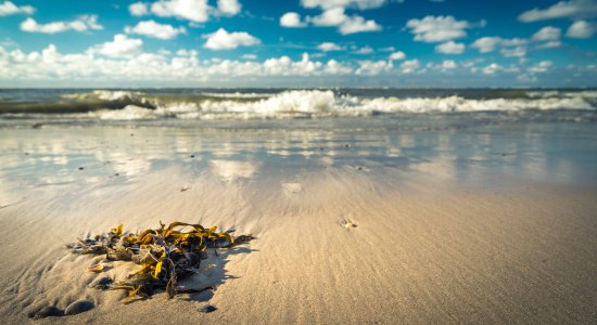 Grueße aus dem Meer - Langeoog, © Tourismus-Service Langeoog/ Andreas Falk