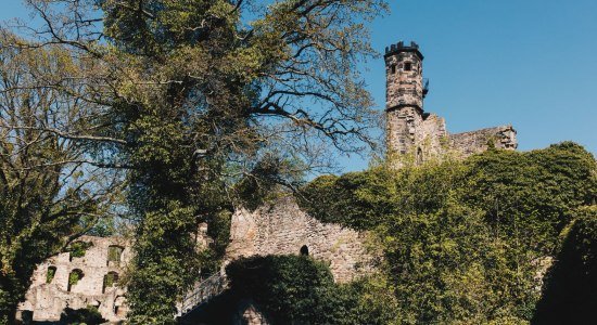 Burgruine Hardenberg in Nörten-Hardenberg in Niedersachsen, © Julia Lormis / Hardenberg-Wilthen AG 