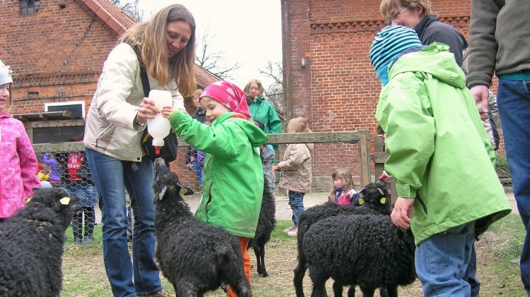 Kleintierfütterung auf Ferienhof Cohrs, © Ferienhof Cohrs