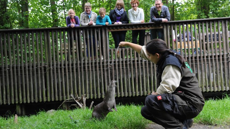 Otter Zentrum Hankensbüttel, © Südheide Gifhorn GmbH