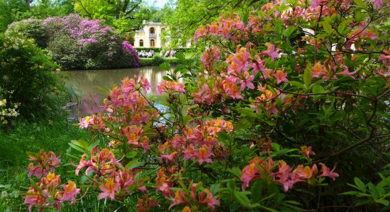 breidingsgarten villa, © Jörg Hornbostel