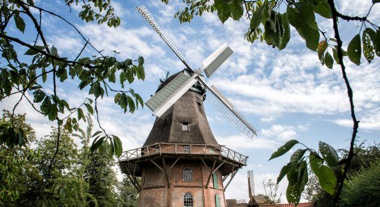 Windmühle Schiffdorf, © Cuxland-Tourismus / Nele Martensen