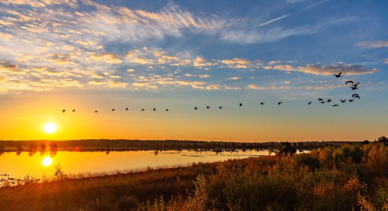 Tister Bauernmoor, © Tourismusverband Landkreis Rotenburg / Björn Wengler Fotografie