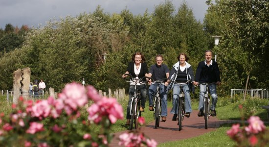 Zwei Pärchen fahren entlang der Boxenstopp-Route., © Verbund Oldenburger Müsterland / Norbert Klockgether