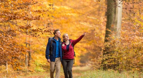 Wanderer im Lüßwald in der Lüneburger Heide, © Lüneburger Heide GmbH / Dominik Ketz