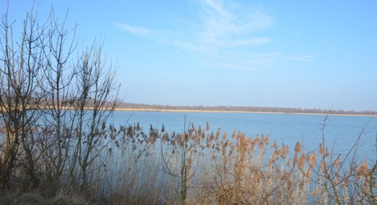 Heerter See, © Stadt Salzgitter / Andre Kugellis