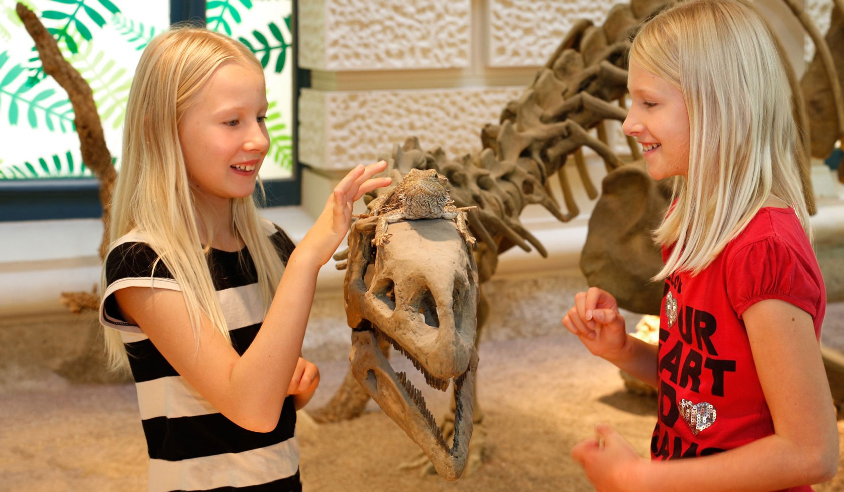 Besuch in den NaturWelten, © Landesmuseum Hannover