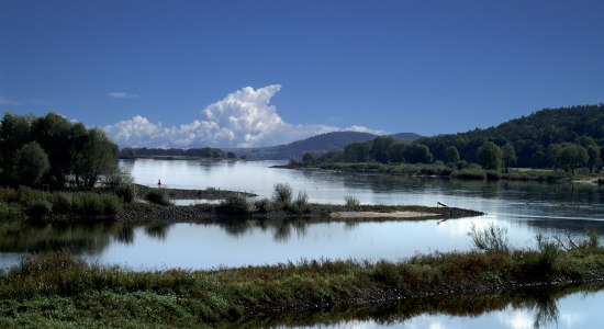 Blick auf die Elbe bei Neu Darchau, © Flusslandschaft Elbe GmbH/ Sabine Kulau, Nahrendorf