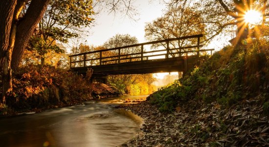 Brücke im Herbstwald, © TouROW/Björn Wengler