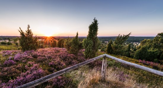 Blick vom Wilseder Berg bei untergehender Sonne, © Lüneburger Heide GmbH/ Markus Tiemann