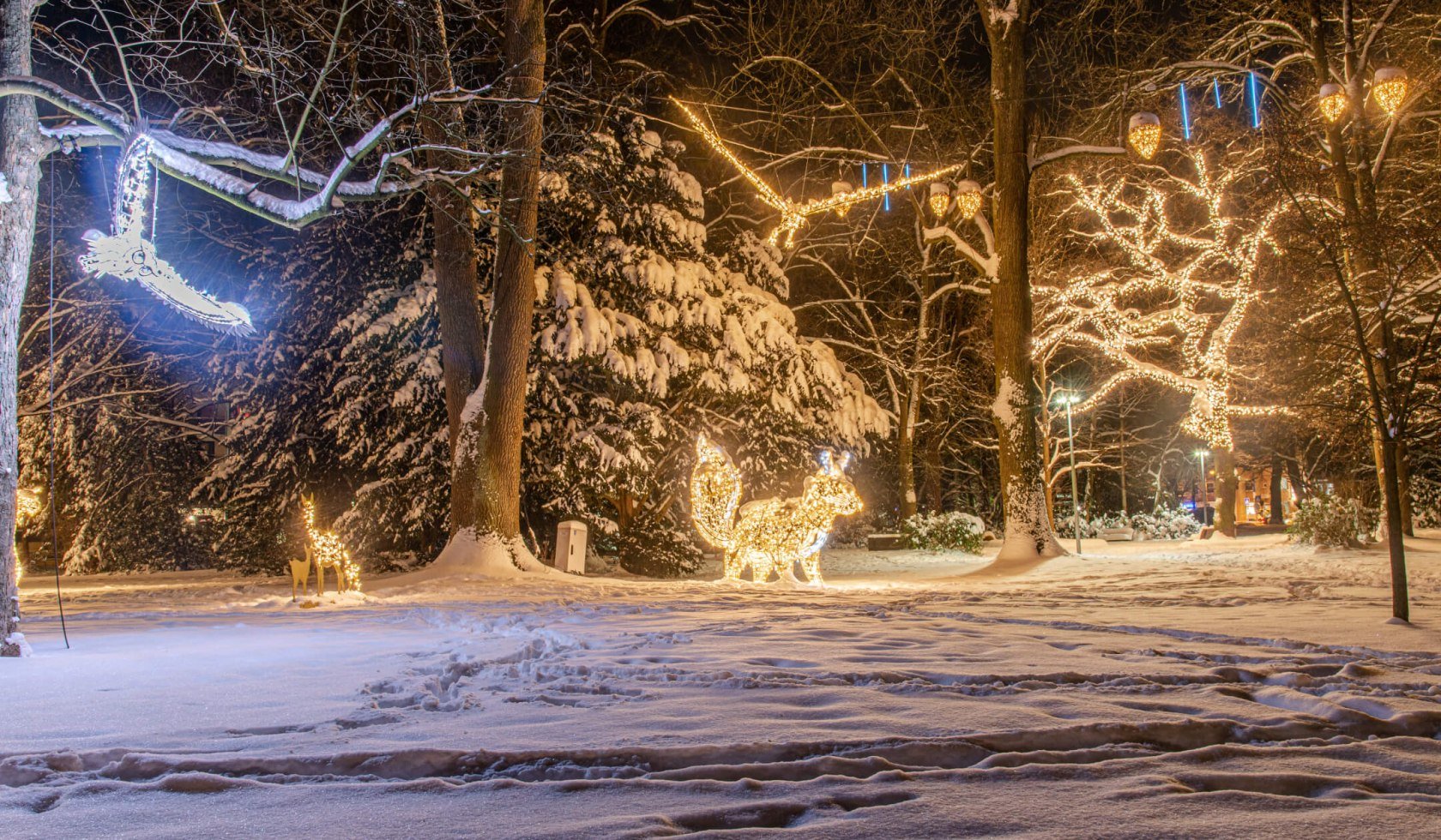 Öffentliche Lichterzauberführung, © Hann. Münden Marketing GmbH